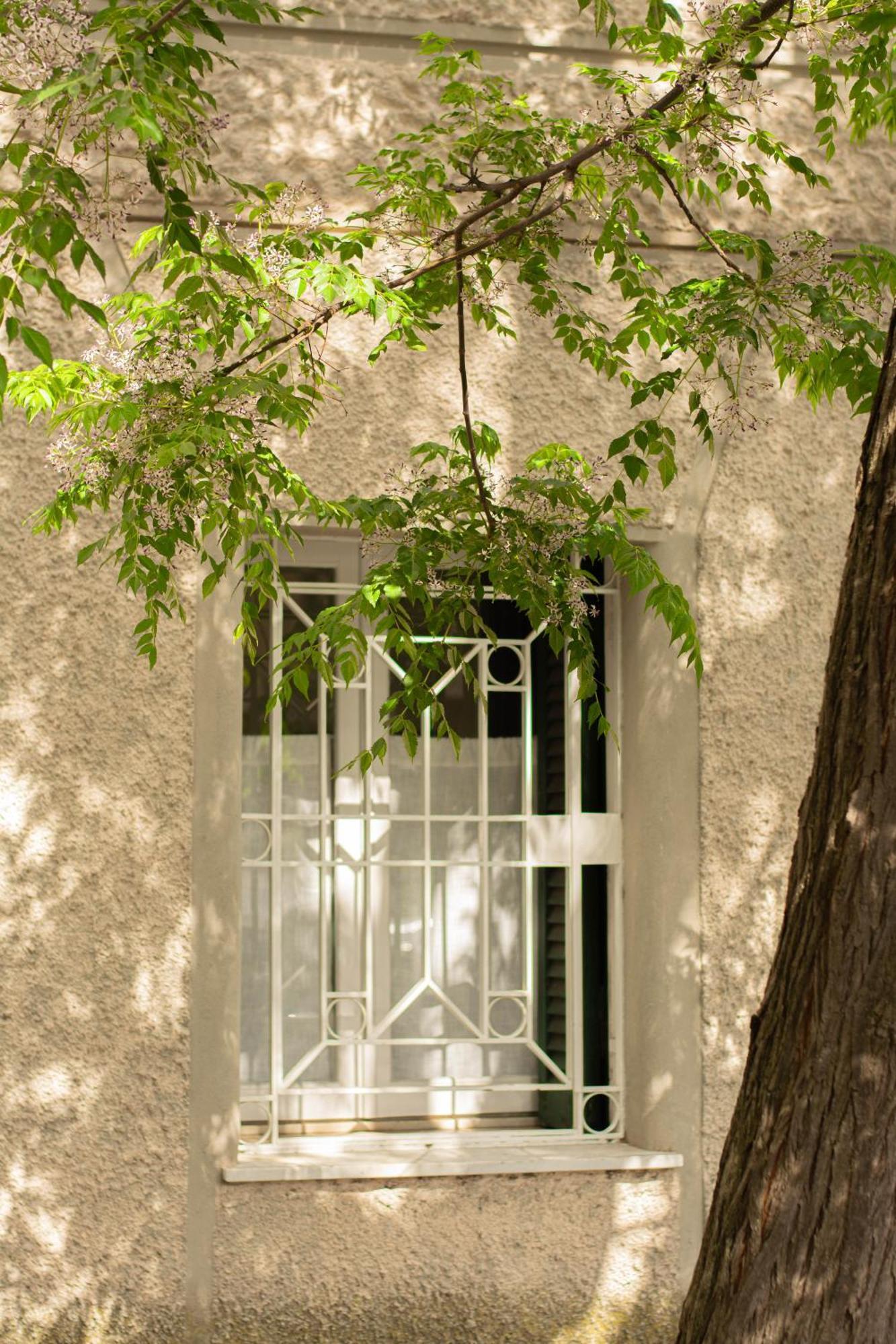 Domus Gianicolo 2B Apartamento Roma Exterior foto